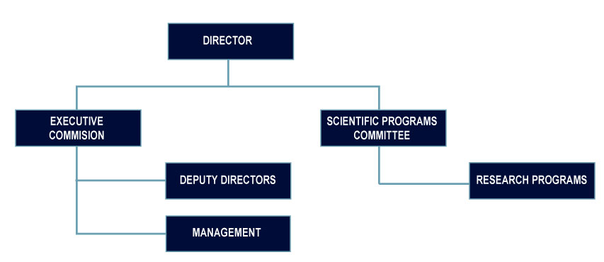 Internal Governing Structure