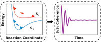 New computational method captures molecular dynamics after ultrafast excitation of several coherent states